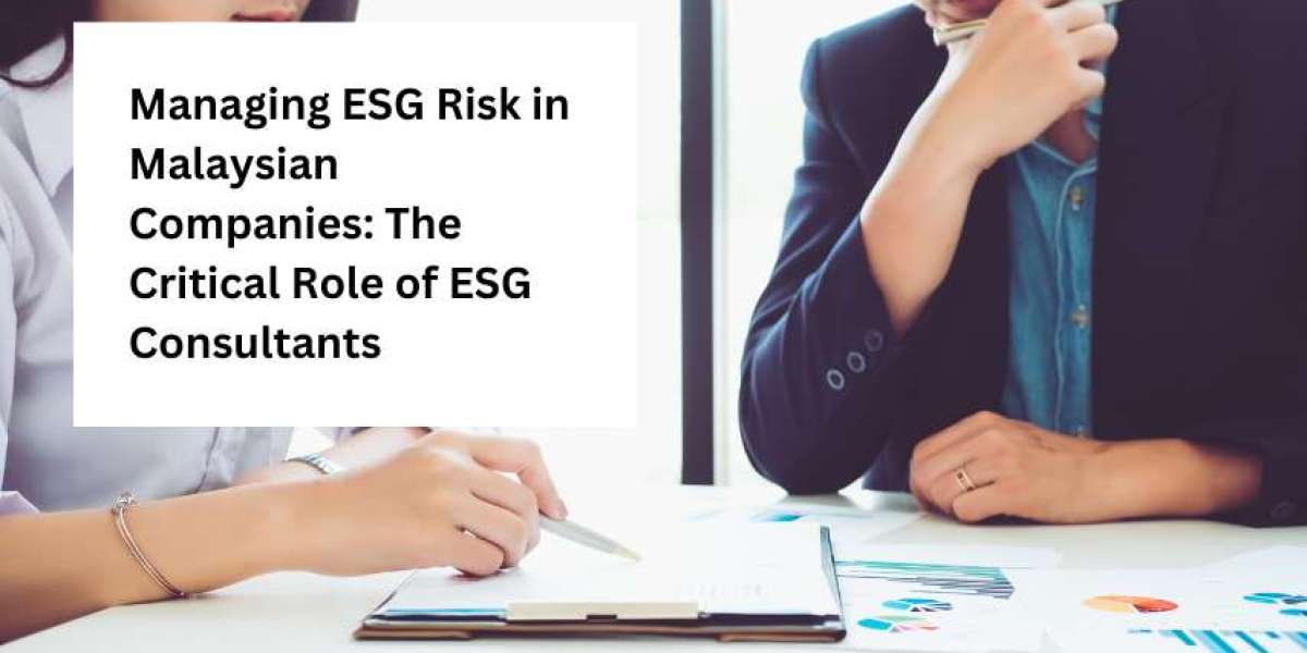 Managing ESG Risk in Malaysian Companies: The Critical Role of ESG Consultants