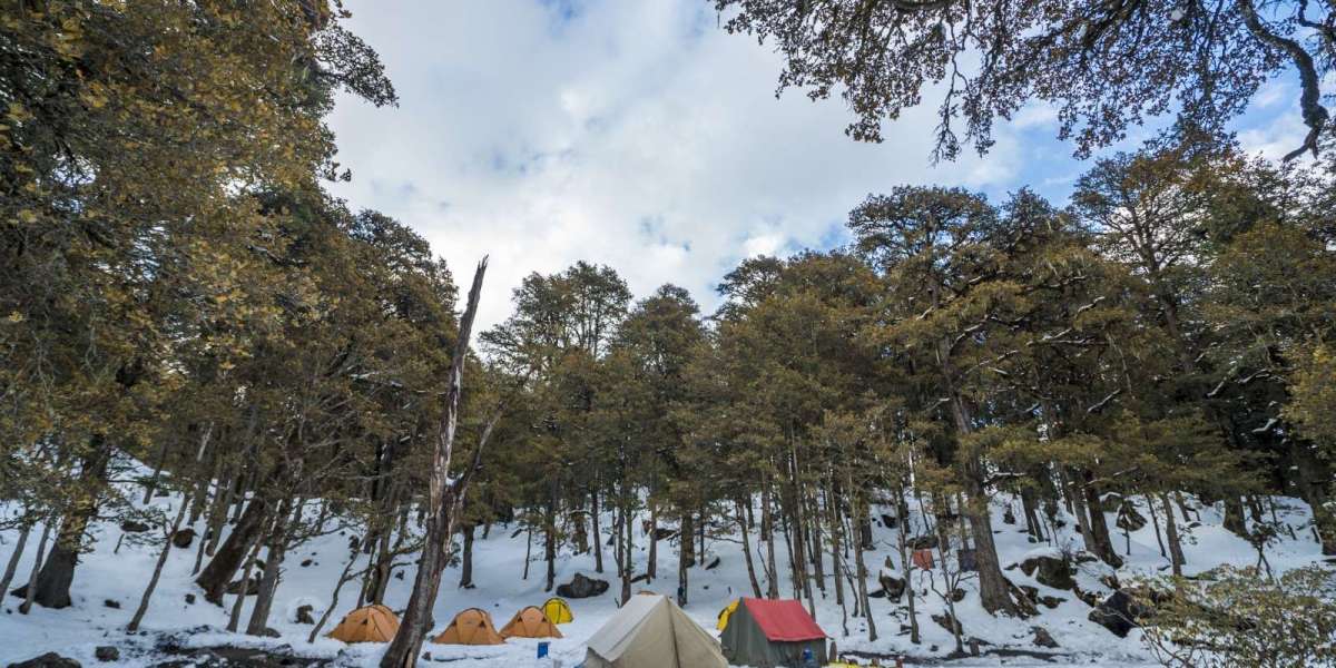 Kuari Pass Trek: Gateway to the Garhwal Himalayas