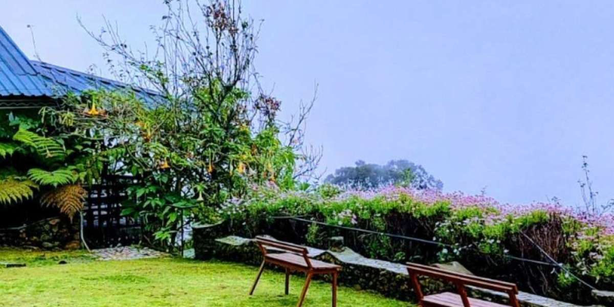 Experience the Charm of the Hills: Best Resorts in Kodaikanal