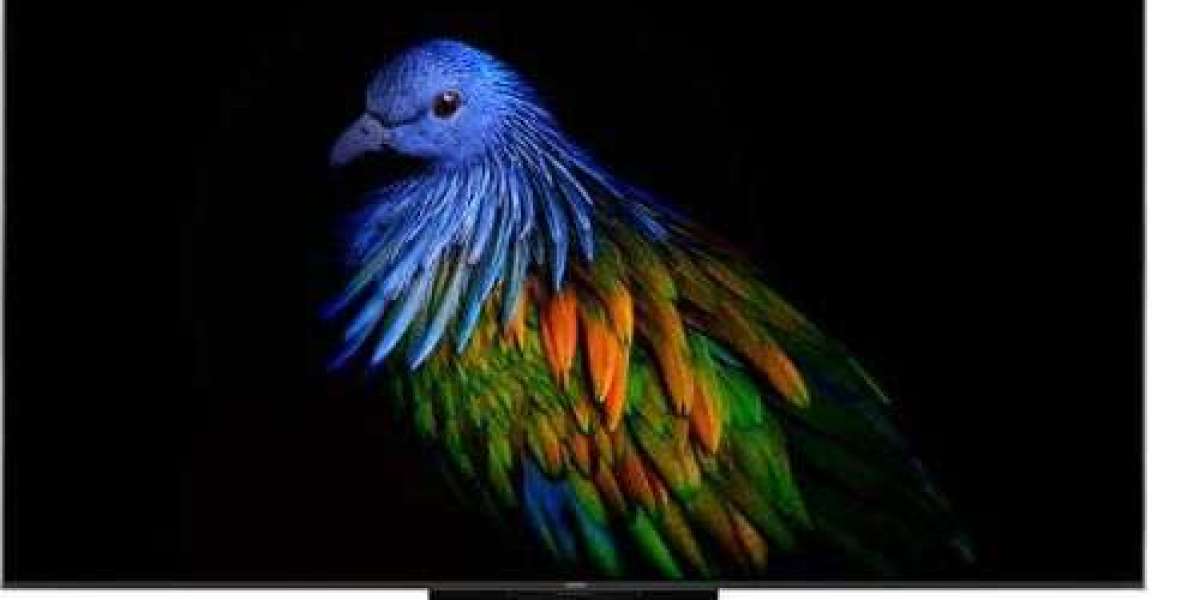 Soundproof Paint Market Manufacturers