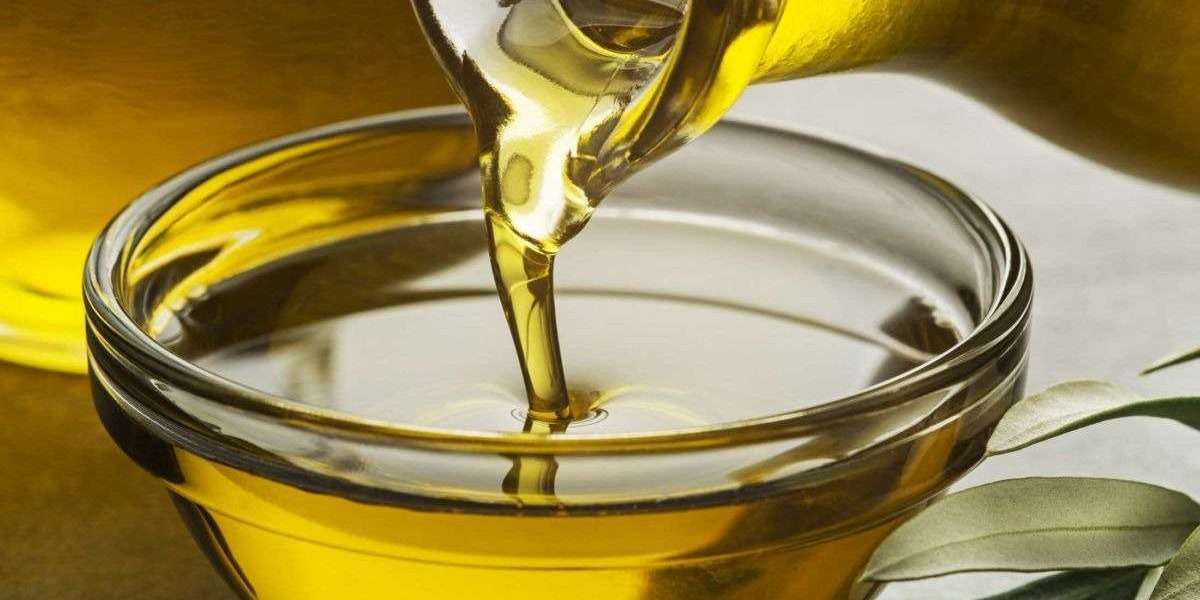 Setting up a Vegetable Oil Processing Plant Project Report 2025 Machinery, Cost and Details